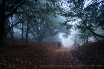 Storm Tunnel is a photograph by T.M. Schultze taken at Julian, California
