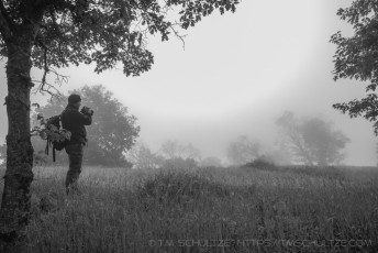 is a photograph by T.M. Schultze taken at ,