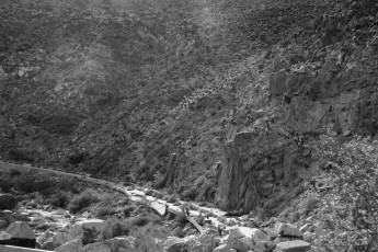 is a photograph by T.M. Schultze taken at Mountain Springs, California