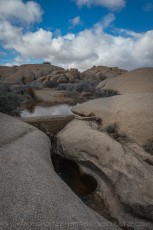 JT68 is a photograph by T.M. Schultze taken 2016 at Joshua Tree National Park, California