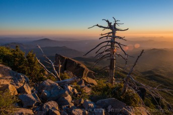 is a photograph by T.M. Schultze taken at Cleveland National Forest, California