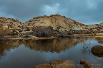 JT67 is a photograph by T.M. Schultze taken at Joshua Tree National Park, California