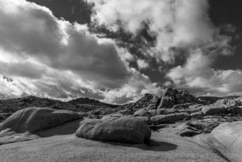 JT72 is a photograph by T.M. Schultze taken 2016 at Joshua Tree National Park, California