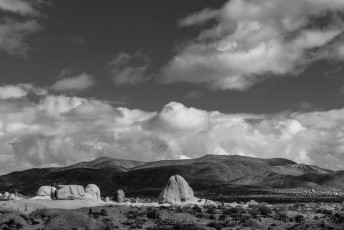 JT67 is a photograph by T.M. Schultze taken 2016 at Joshua Tree National Park, California