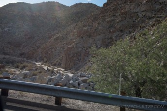 is a photograph by T.M. Schultze taken at Mountain Springs, California