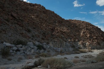is a photograph by T.M. Schultze taken at Mountain Springs, California