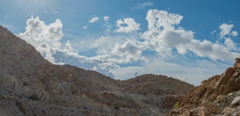 is a photograph by T.M. Schultze taken at Mountain Springs, California