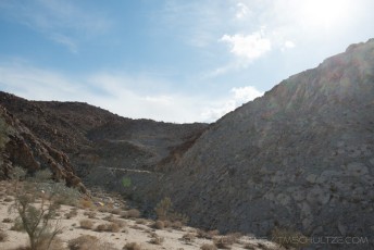 is a photograph by T.M. Schultze taken at Mountain Springs, California