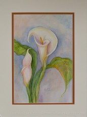 Easter Lily is a photograph by T.M. Schultze taken at Jeannie House Artwork, Jeannie House Artwork