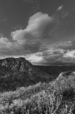 ECM10 is a photograph by T.M. Schultze taken at ,