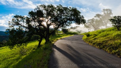 FM1 is a photograph by T.M. Schultze taken at ,