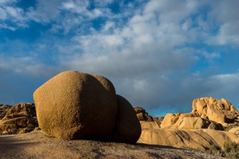 Golden Orange is a photograph by T.M. Schultze taken at Joshua Tree National Park, California