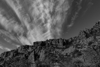 Hoodoos Alive is a photograph by T.M. Schultze taken at Chiricahua National Monument, Arizona