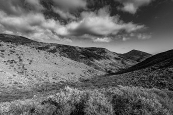 LM8 is a photograph by T.M. Schultze taken at ,