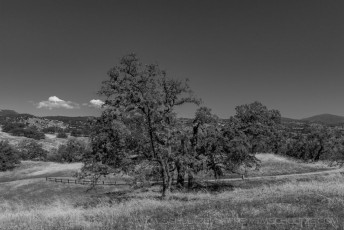 SYOSP3 is a photograph by T.M. Schultze taken 2016 at Santa Ysabel, California