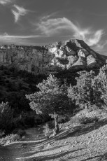 Wilson Canyon Trail by T.M. Schultze