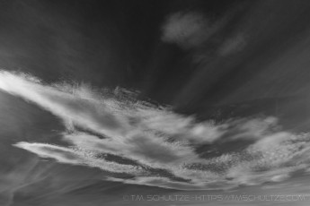 M.E. 6 is a photograph by T.M. Schultze taken at Joshua Tree National Park, California