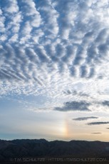 Iridescent is a photograph by T.M. Schultze taken at Joshua Tree National Park, California
