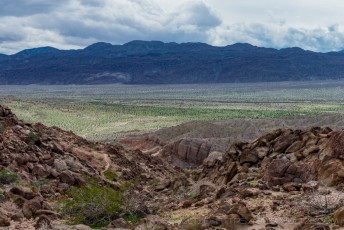 Green Desert is a photograph by T.M. Schultze taken at Anza-Borrego Desert State Park, California