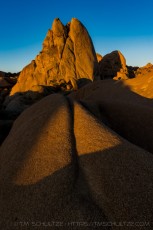 JT57 is a photograph by T.M. Schultze taken at Joshua Tree National Park, California