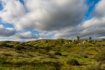 2017 Image: Santee Rocks Spring by T.M. Schultze