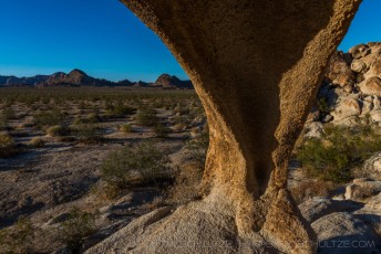 JT120 is a photograph by T.M. Schultze taken at Joshua Tree National Park, California