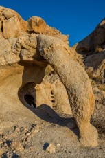 Dinosaur Window and Cubby Holes JT is a photograph by T.M. Schultze taken at Joshua Tree National Park, California