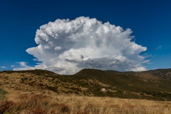 August Mushroom is a photograph by T.M. Schultze taken at Cleveland National Forest, California