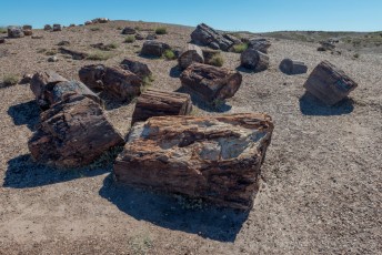 PFNP10 is a photograph by T.M. Schultze taken at Petrified Forest National Park, Arizona