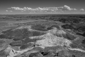 Desert Beyond by T.M. Schultze