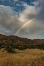 Refracted is a photograph by T.M. Schultze taken at Anza-Borrego Desert State Park, California