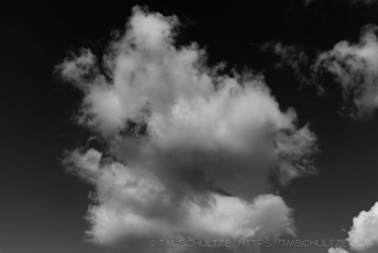 M.E. 1 is a photograph by T.M. Schultze taken at Cleveland National Forest, California
