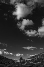 Sentinel's Expanse is a photograph by T.M. Schultze taken 2017 at Cleveland National Forest, California