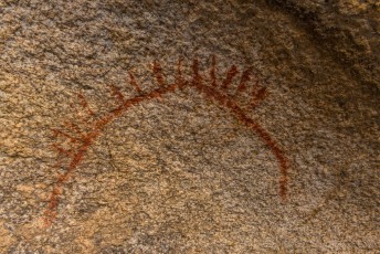 is a photograph by T.M. Schultze taken at Joshua Tree National Park, California
