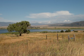 is a photograph by T.M. Schultze taken at Cleveland National Forest, California
