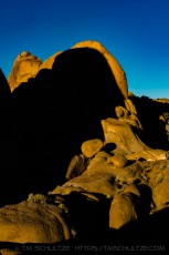 JT56 is a photograph by T.M. Schultze taken 2017 at Joshua Tree National Park, California