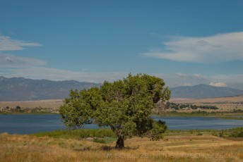 EC18 is a photograph by T.M. Schultze taken 2017 at Cleveland National Forest, California