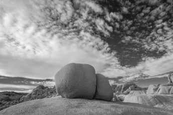 JT66 is a photograph by T.M. Schultze taken 2017 at Joshua Tree National Park, California