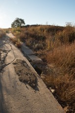 is a photograph by T.M. Schultze taken at Descanso, California
