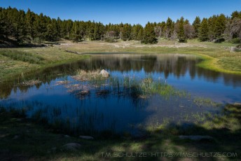 LM39 is a photograph by T.M. Schultze taken at ,