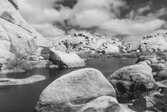 JT59 is a photograph by T.M. Schultze taken 2017 at Joshua Tree National Park, California