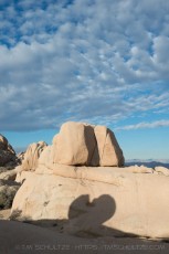 is a photograph by T.M. Schultze taken at Joshua Tree National Park, California