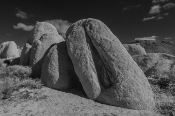 JT43 is a photograph by T.M. Schultze taken 2017 at Joshua Tree National Park, California