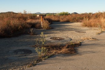is a photograph by T.M. Schultze taken at Descanso, California