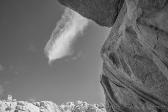 JT44 is a photograph by T.M. Schultze taken 2017 at Joshua Tree National Park, California