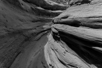 is a photograph by T.M. Schultze taken at Anza-Borrego Desert State Park, California