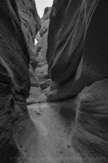 ABD35 is a photograph by T.M. Schultze taken 2017 at Anza-Borrego Desert State Park, California