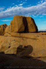 is a photograph by T.M. Schultze taken at Joshua Tree National Park, California