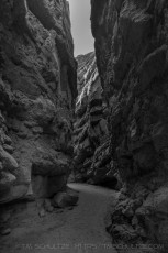 ABD24 is a photograph by T.M. Schultze taken 2017 at Anza-Borrego Desert State Park, California