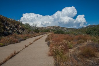 Afternoon, Old Road is a photograph by T.M. Schultze taken at Descanso, California